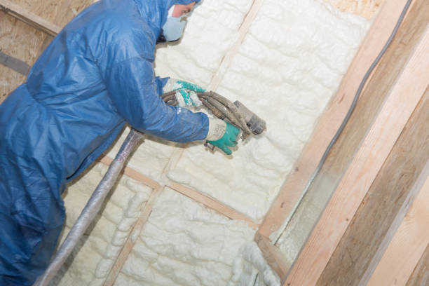 Best Basement Insulation  in Sioux City, IA